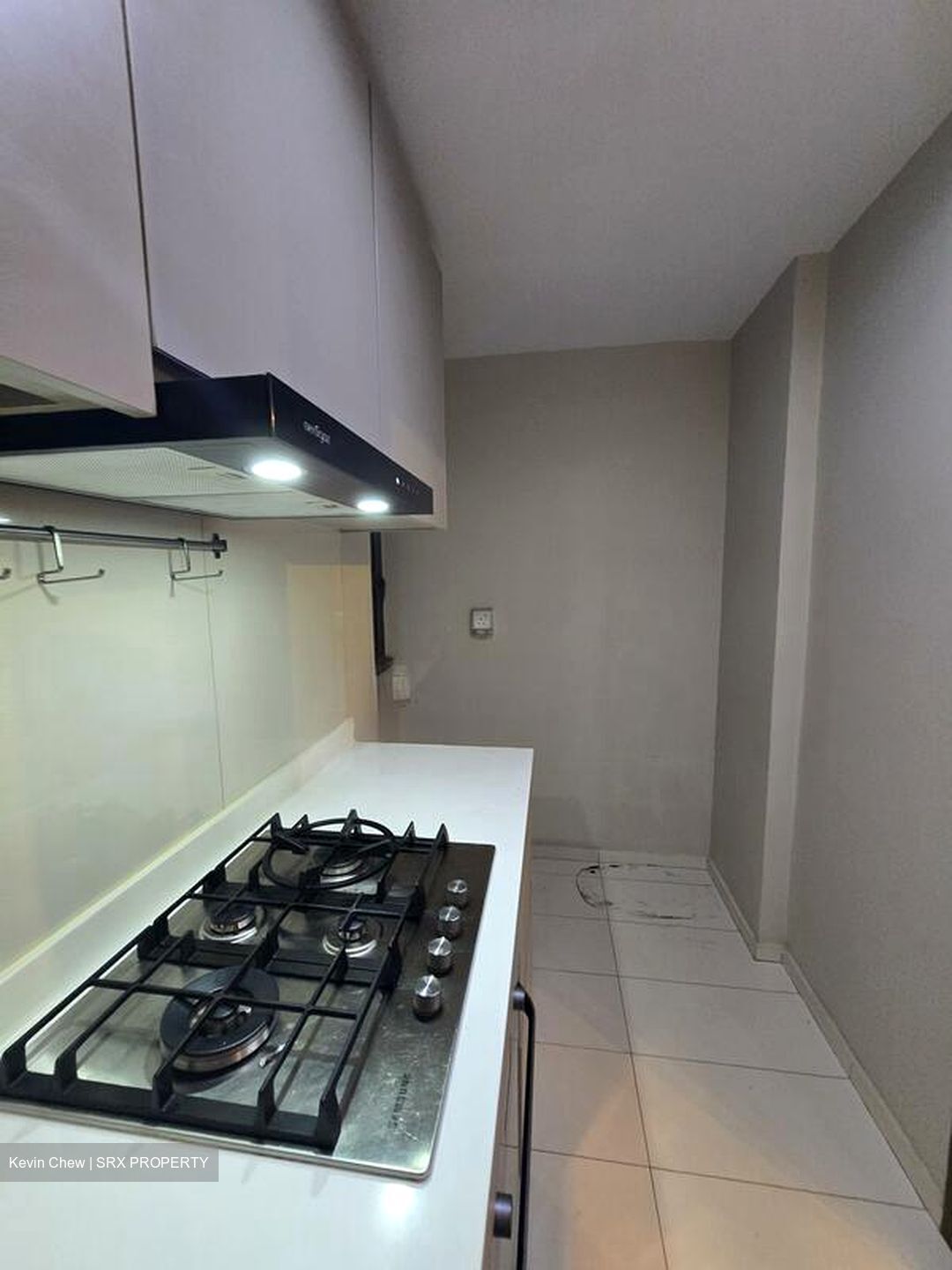 The Visionaire (D27), Condominium #497950381